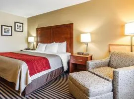 Comfort Inn Owatonna near Medical Center