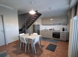 Cà Trifolera Barbaresco Apartament nelle Langhe - DEGUSTAZIONE VINI NELLA NOSTRA CANTINA