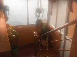 Mist Haven homestay