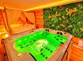 JUNGLE SPA-4 Pers-Jacuzzi-Parking-Jardin-Clim-Colmar