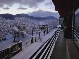 Hotel Braan Draculaa