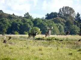 Middelfart Home- nearby free waterpark access