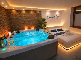 COCOON SPA-4 Pers-Jacuzzi-Parking-Jardin-Clim-Colmar