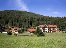 Landhaus Mühlengrund, Hotel in Baiersbronn