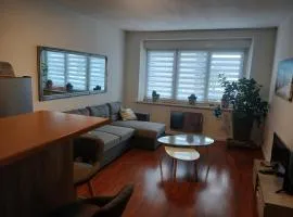 Bougainvilliers 1 chambre 2 personnes