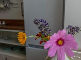 Apartmá se zahrádkou, hotel in Libkov