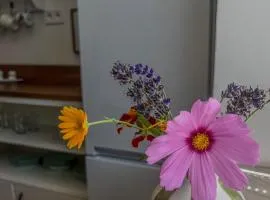 Apartmá se zahrádkou