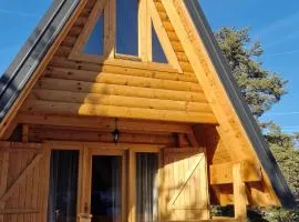 Golden pine chalet Žabljak