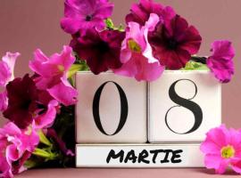 Pensiunea Senin, מקום אירוח B&B בסובאטה