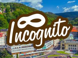Hotel Incognito, hotell i Jáchymov
