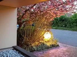 2 Soundproof Fully Equipped Studios near Geneva Airport