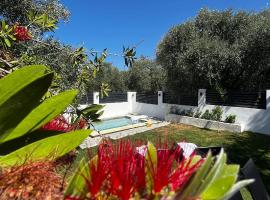 Villa Kristalia, Hotel in Skala Sotiros
