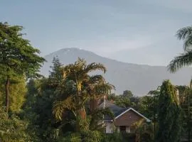 Vista Montage Homestay