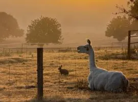 Chandelle Park Farm Stay