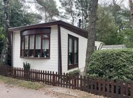 Viooltje in het bos I Knus chalet op de Veluwe