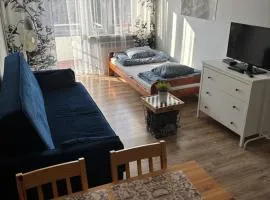 Mieszkanie w centrum