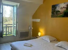 T3 vue sur le Château d'Azay-le-Rideau ! Avec 2 SDB