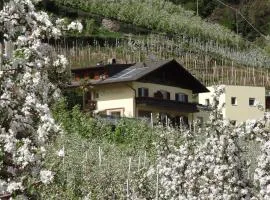 Ferienwohnungen Oberbrunnhof