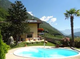 Ferienwohnungen Oberbrunnhof