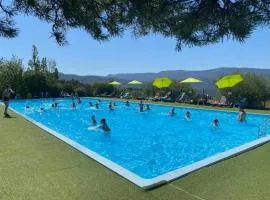 ZEcamping 4 étoiles animaux acceptés animations piscine chauffée