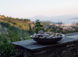 Secluded cottage guesthouse in the mountains, hotel a Makrinítsa