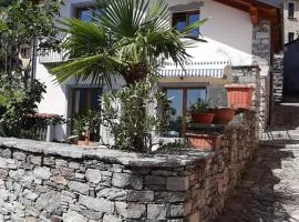 Casa Tartaruga