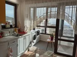 Vinitsa Coastal Studio with Balcony