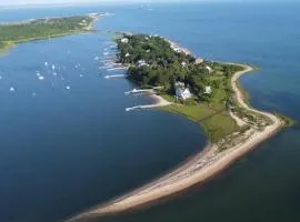 The Dragonfly - Planting Island