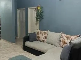 House of NALIN, a paradise for Birds