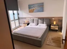 Teddy apartment