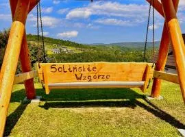 Solina domki-„Solińskie wzgórze”