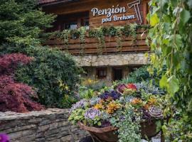 Penzion pod Brehom, viešbutis mieste Terchova