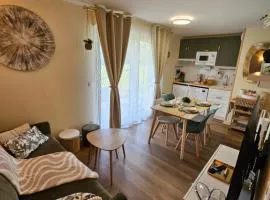 Le Trésor du Lac - Casteljaloux - Lac de Clarens - Appartement - Piscine - Parking - WIFI - Accès privée Plage - Golf - Casino - Terra Aventura - So Vélo