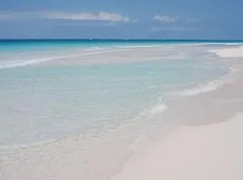 Allamanda Harbour Island - Restored Historic Home w/Pool, Outside