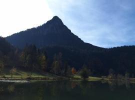 Apartment Luis, hotel u gradu Vorderthiersee