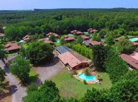 Villa Hacienda 14 pers avec piscine chauffée, grand jardin, Messanges plage