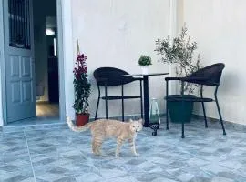 LEIVADAROS apartments