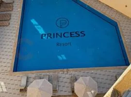 CAMUS 457 B, Princess Resort