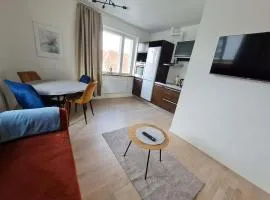 Kuressaare kesklinn, Turu Apartment