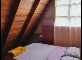 Reserva biologica la mancuerna