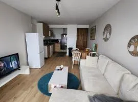 bordeaux lac nord apartment Cité du Vin