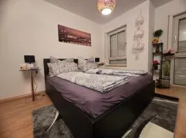 Comfortable Apartment on Elbe River