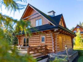 Comfortable holiday villa in the mountains, sauna, Hotel in Piwniczna Zdrój