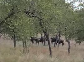 Paradise Camp Game Lodge, hotel v mestu Grootfontein