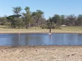 Paradise Camp Game Lodge