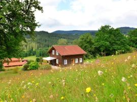 holiday house in the Bavarian Forest, hotelli kohteessa Drachselsried