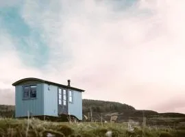 Curlew Shepherds Hut - Uk7628