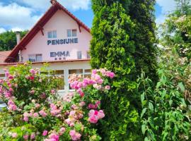 Pensiunea Emma, hotel din Sâmbăta de Sus