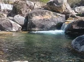 The Mountain Stream