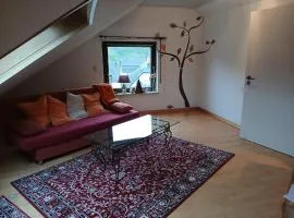 Ferienwohnung mit Moselblick